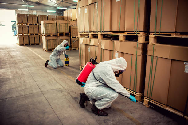 Best Pest Prevention Services  in Lakeport, TX