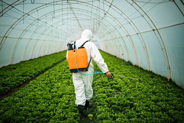 Best Best Pest Control Companies  in Lakeport, TX