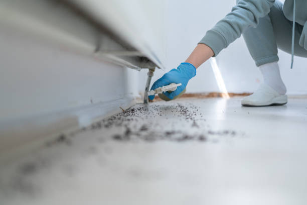 Best Pest Prevention Services  in Lakeport, TX